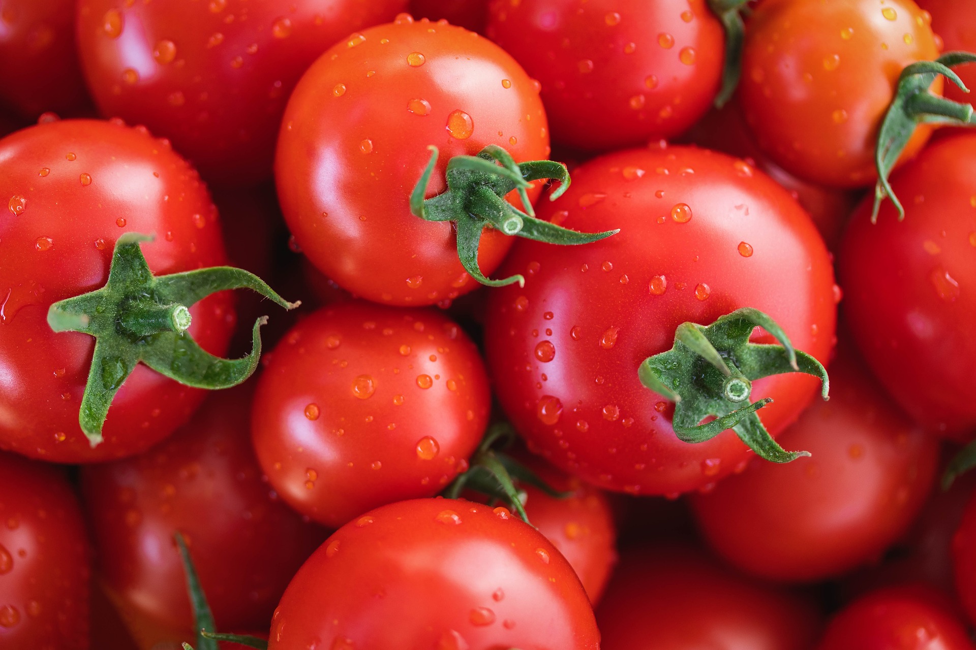 tomatoes-7433786_1920